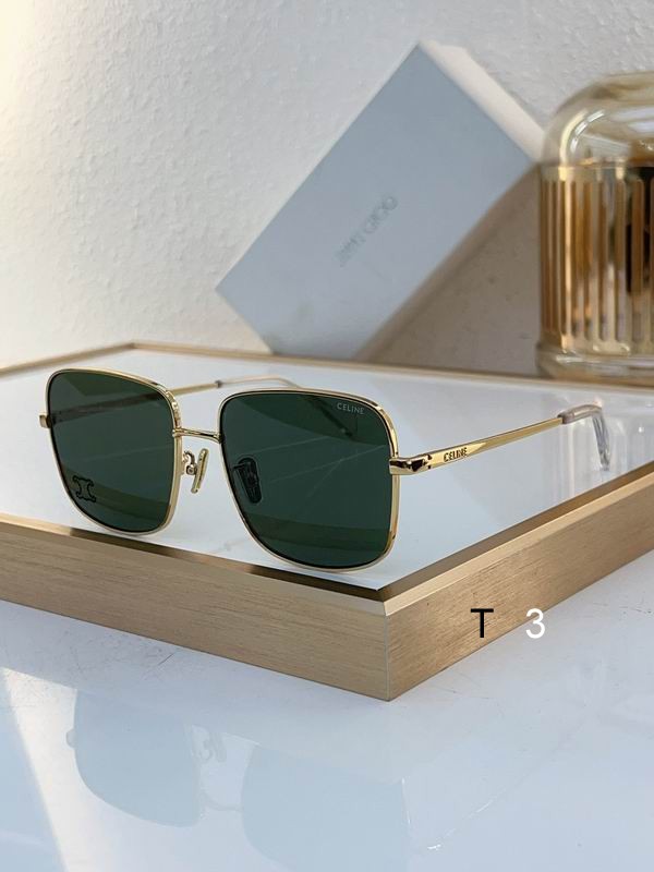 Celine Sunglasses ID:20240804-4